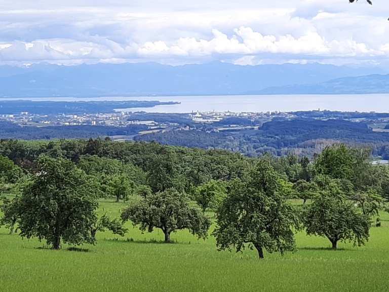 Die 10 schönsten Wanderungen rund um Friedrichshafen Komoot