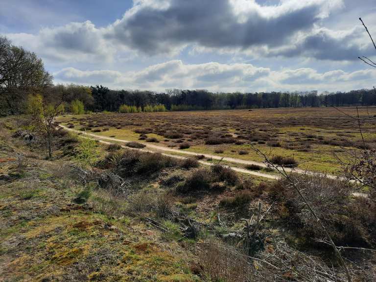 De beste fietsroutes in het Springendal & Dal Van De Mosbeek | Komoot