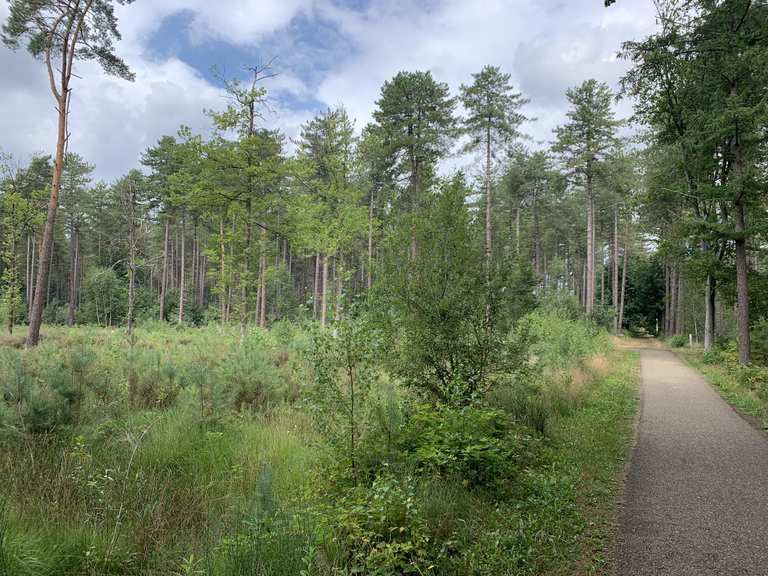 De beste MTB-routes in Hertberg | Komoot