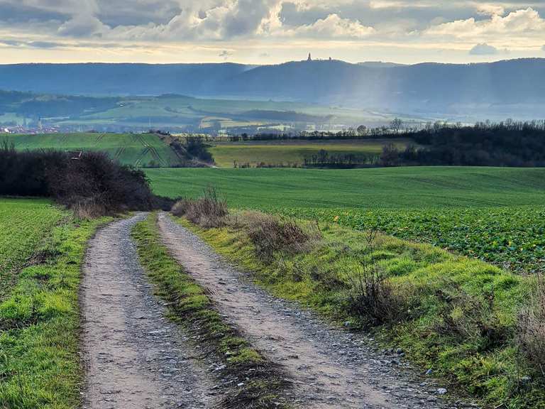 Die schönsten Wanderungen im Gipskarstlandschaft Questenberg | Komoot