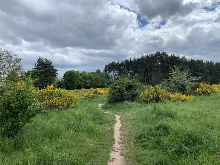 Die schönsten Wanderungen im Hainberg | Komoot