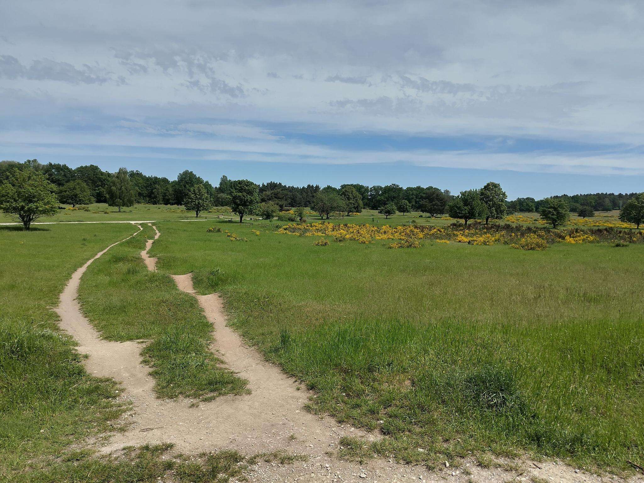 Les 20 meilleures attractions et ce qu'il faut voir autour de Hainberg ...