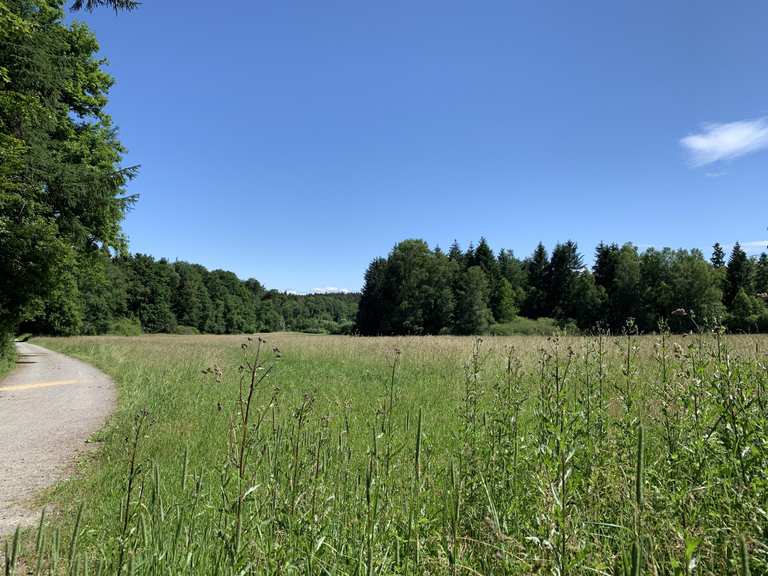 Die schönsten Wanderungen im Eyach-Und Rotenbachtal | Komoot
