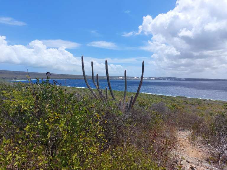 De 10 mooiste wandelroutes in National Park Rif Sint Marie - Hermanus ...