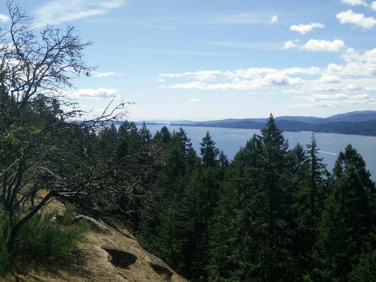 Die 5 schönsten Fahrradtouren im Bodega Ridge Provincial Park | Komoot