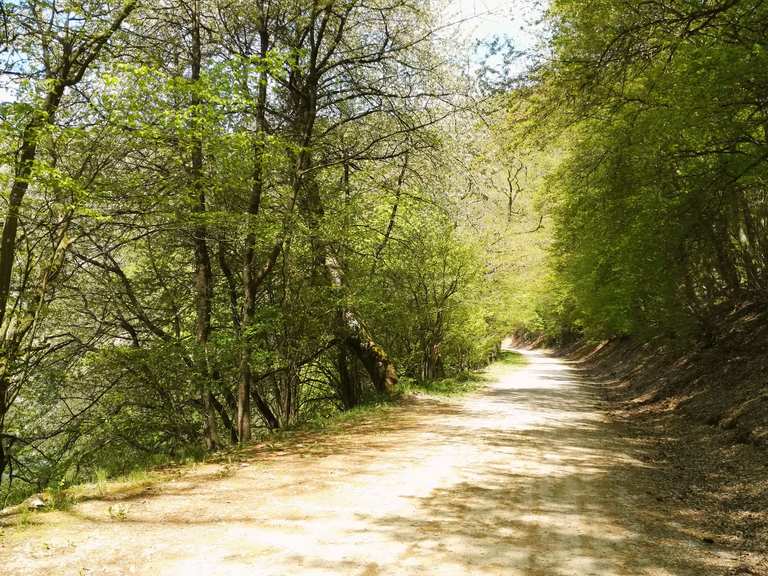 Die 20 schönsten Fahrradtouren rund um Einruhr | Komoot