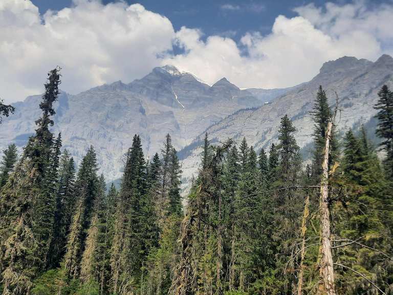 Les plus belles promenades et randonnées autour de M…