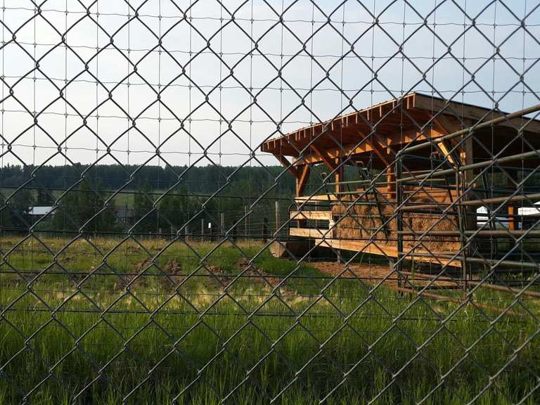 Top 8 Running Trails in Creamer'S Field Migratory Waterfowl Refuge Komoot