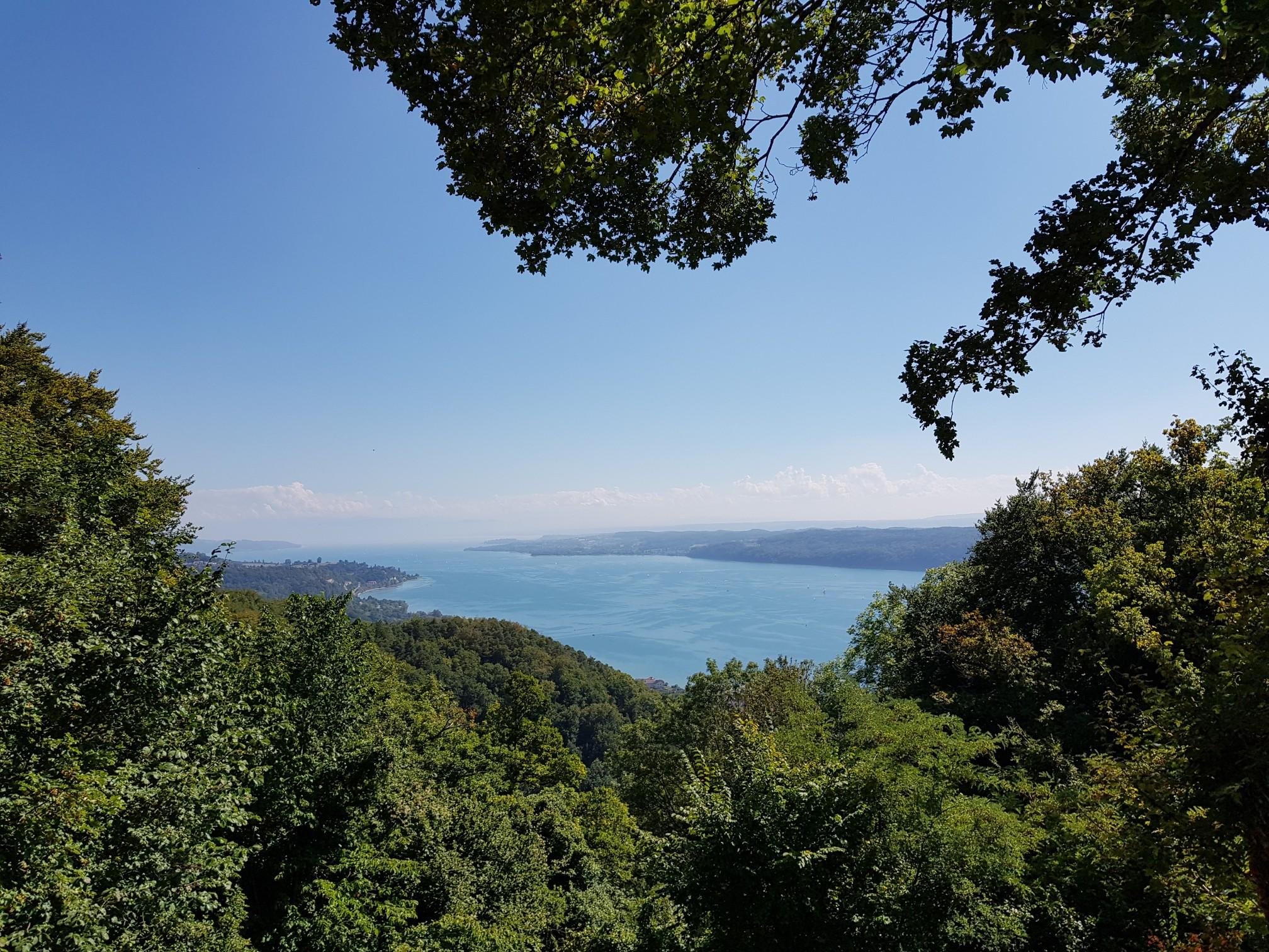 Die 10 Schönsten Wanderungen Am Bodensee | Komoot