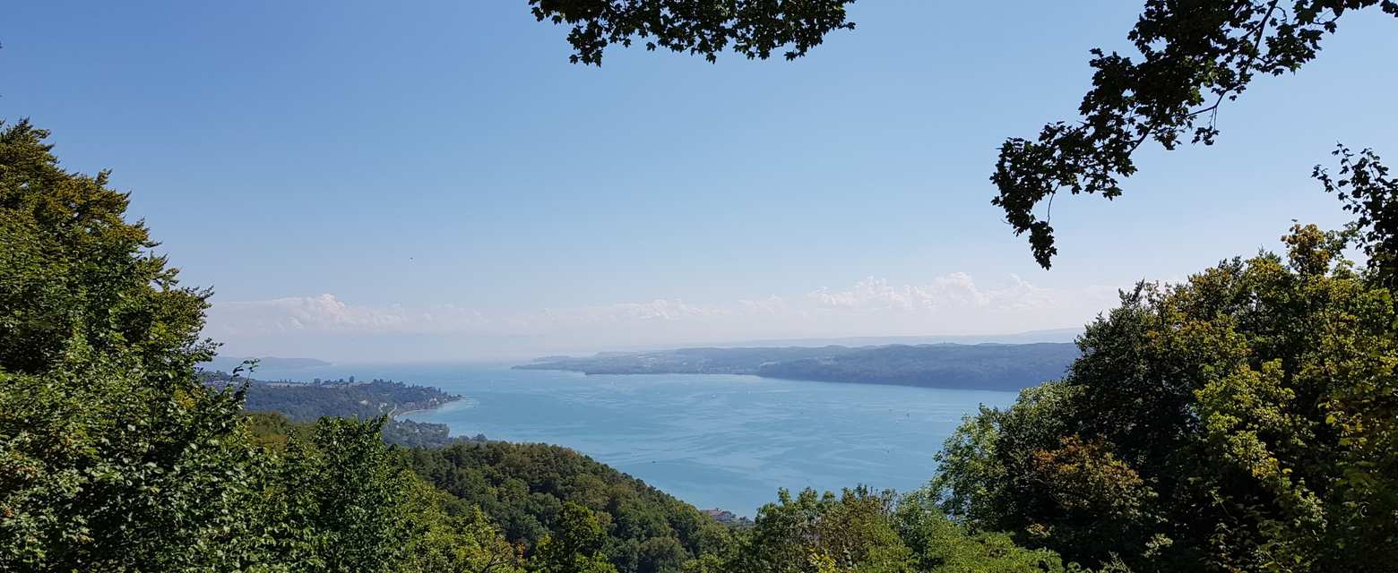Top 10 Most Beautiful Hikes around Lake Constance Komoot
