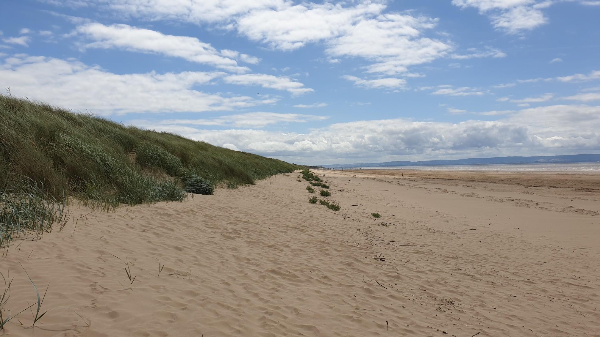 Top 10 Hikes and Walks in Bridgwater Bay National Nature Reserve | Komoot