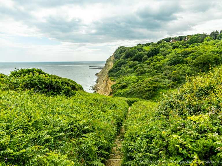 Top 10 Most Beautiful MTB Trails in High Weald Aonb | Komoot