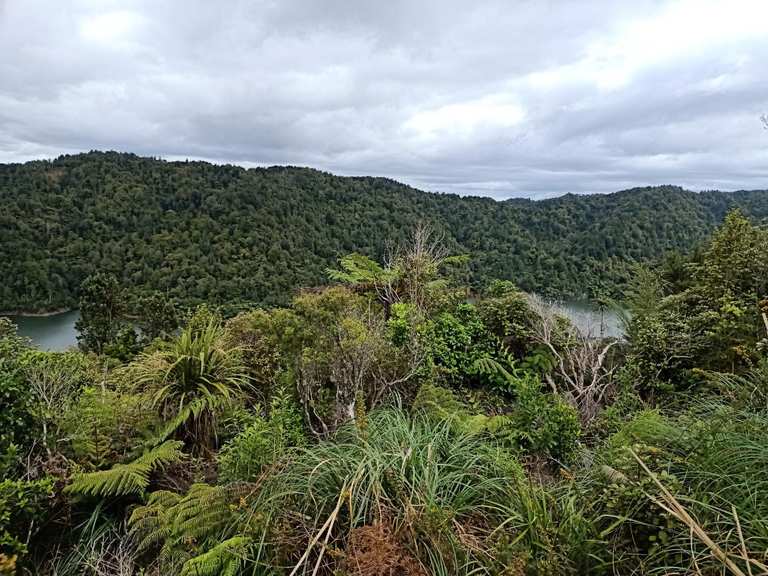 Attractions and Places To See in Hūnua Ranges Regional Park - Top 4 ...