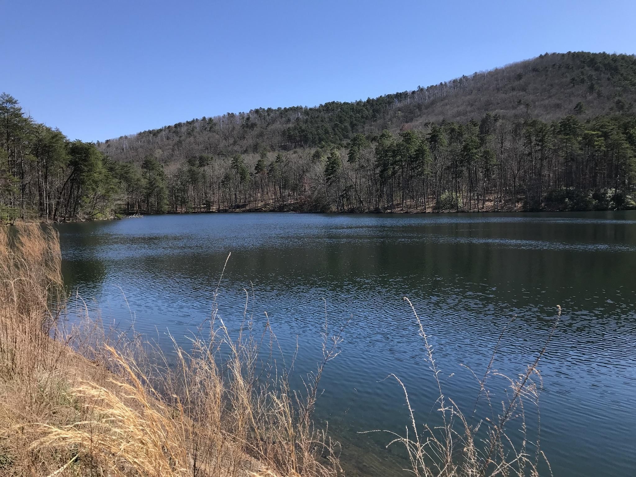 Top 5 Hikes and Walks in Paris Mountain State Park Komoot