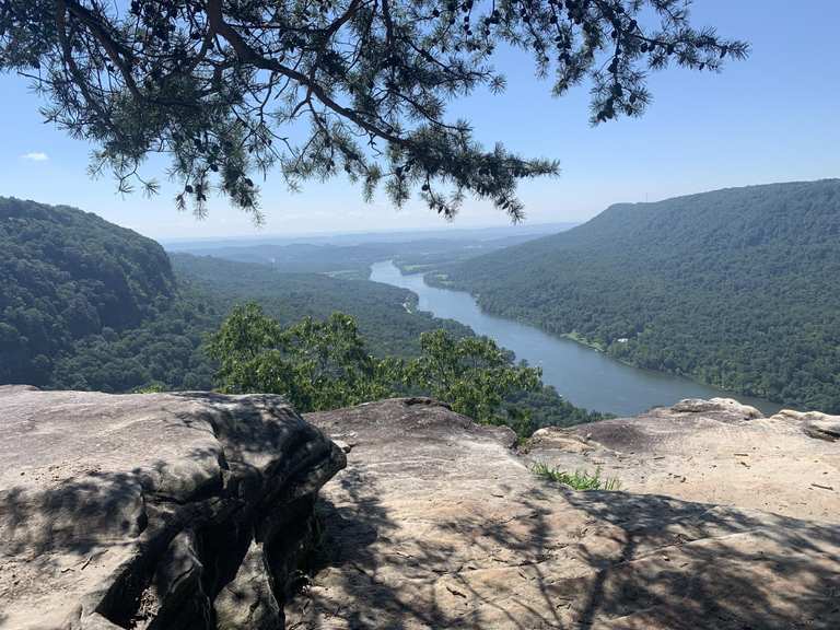 The best walks and hikes in Prentice Cooper State Park | Komoot