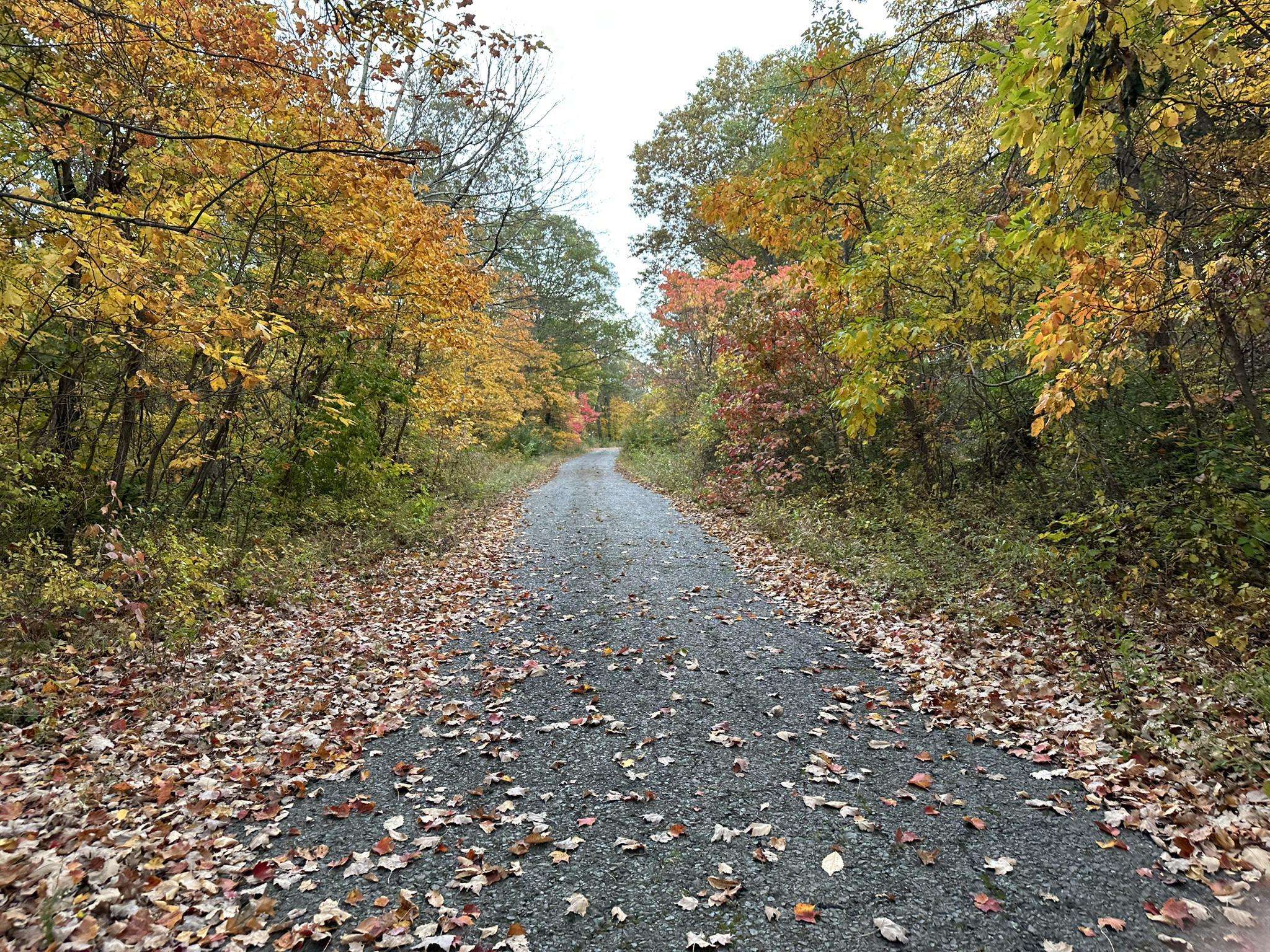 Top 10 Running Trails in West Rock Ridge State Park | Komoot