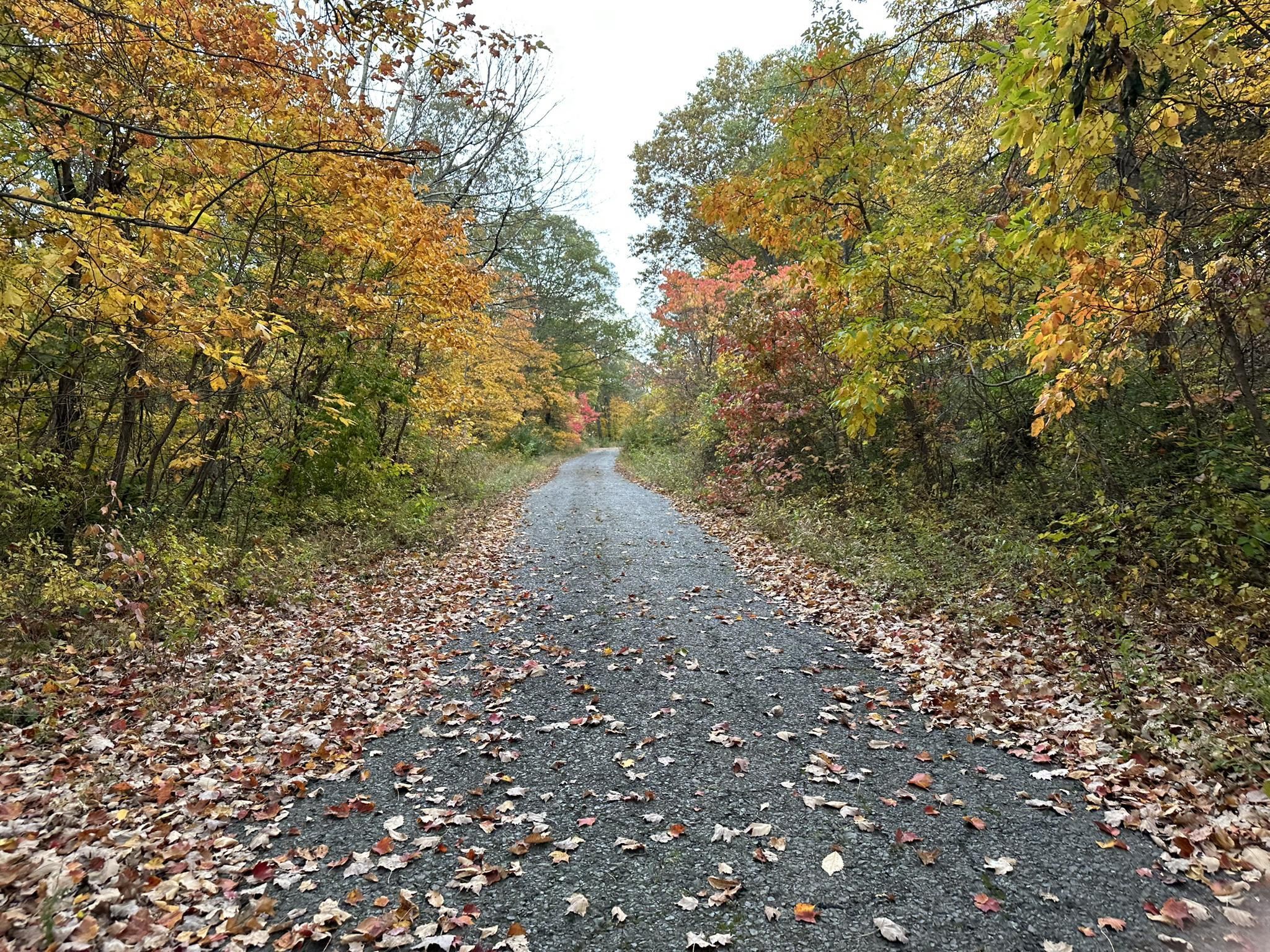 Gravel running trails near me store