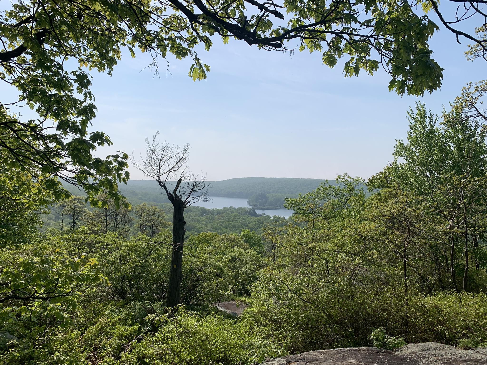 Top 5 Hikes and Walks in Harriman State Park Komoot