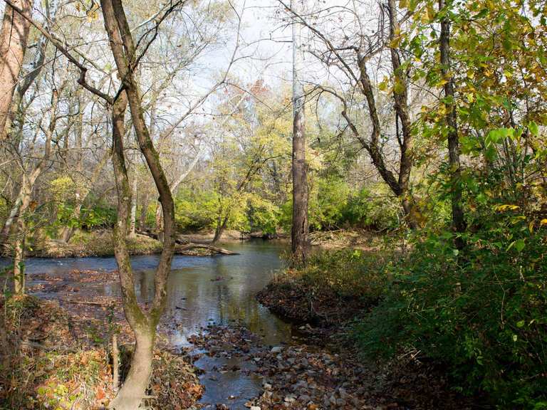 The best walks and hikes in Fort Harrison State Park | Komoot