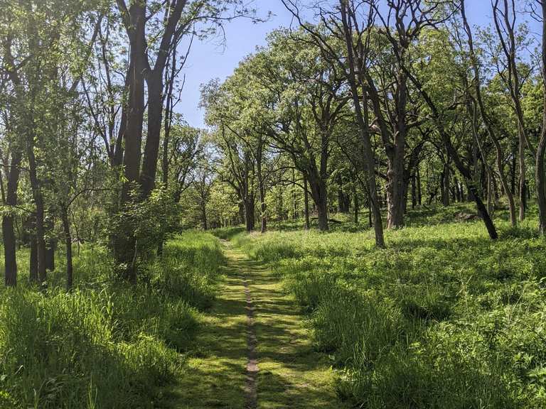 The best walks and hikes in James 