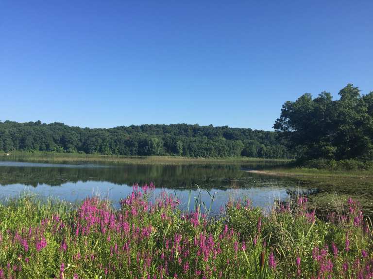 Die 5 schönsten Wanderungen in der Waterloo State Recreation Area | Komoot