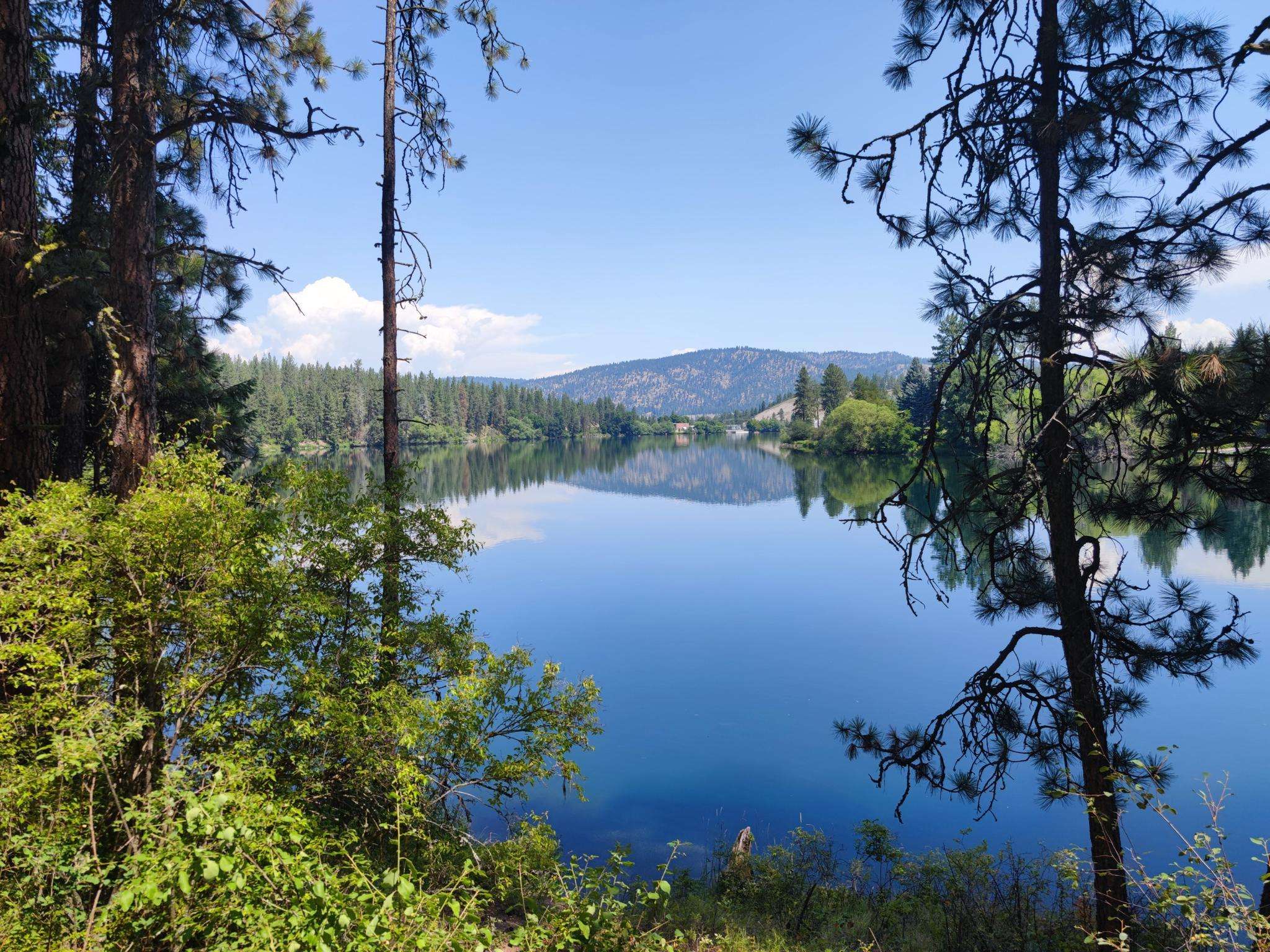 Top 10 Running Trails in Riverside State Park | Komoot