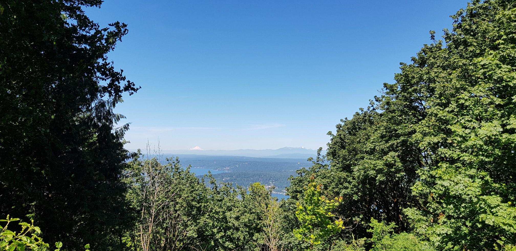 Top 20 Hikes and Walks in Squak Mountain State Park | Komoot