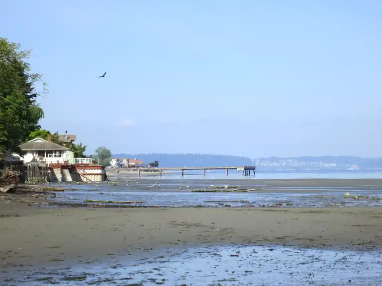 Top 5 Most Beautiful Road Biking Routes in Dash Point State Park | Komoot