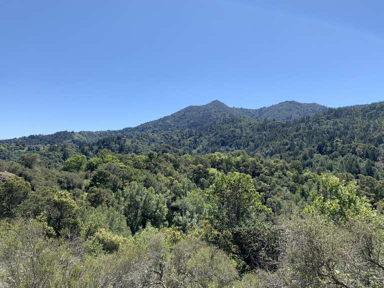 Top 12 Hikes and Walks in Santa Margarita Island Open Space Preserve ...
