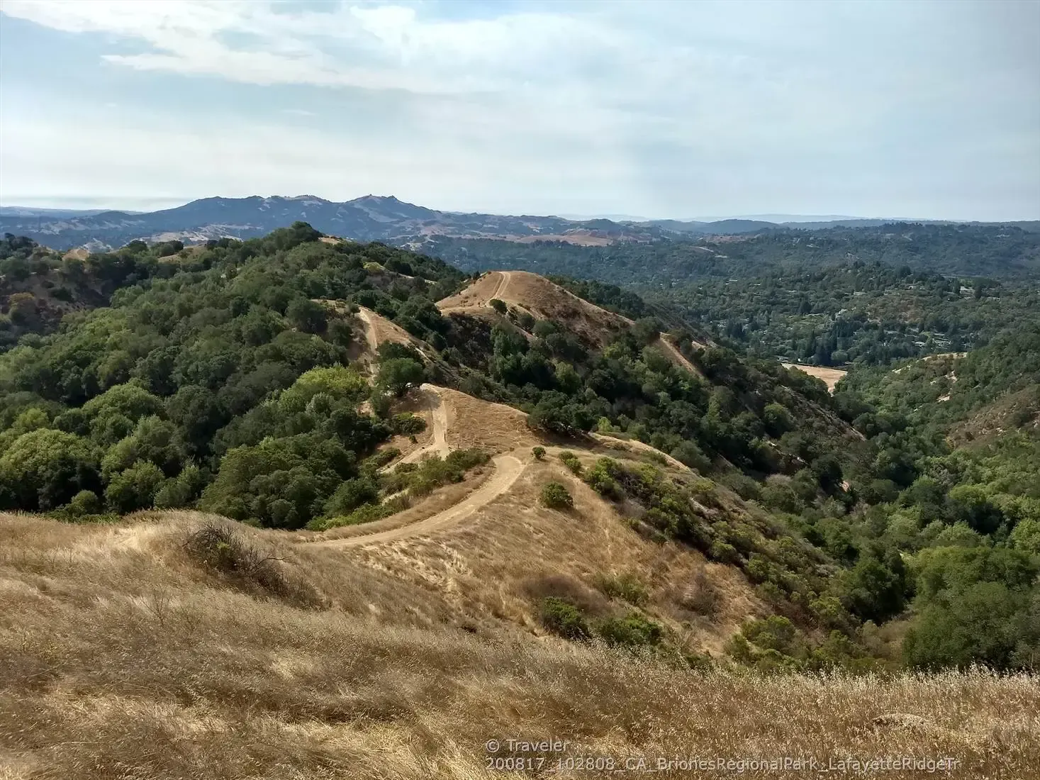 Top 10 Most Beautiful MTB Trails in Briones Regional Park Komoot