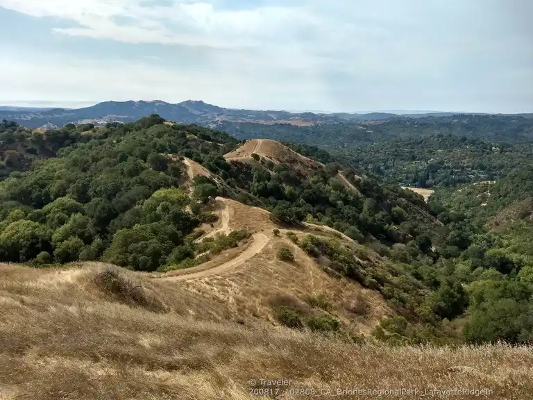 Briones regional park mountain biking hotsell
