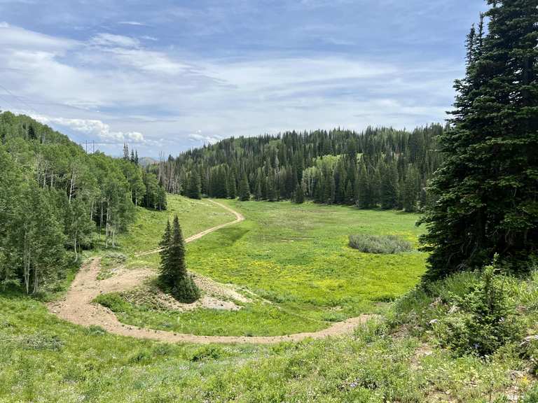The best walks and hikes in Wasatch Mountain State Park | Komoot