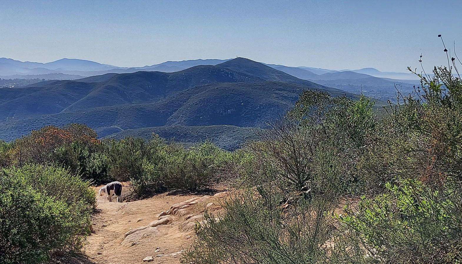 Top 10 Hikes and Walks in Mission Trails Regional Park | Komoot