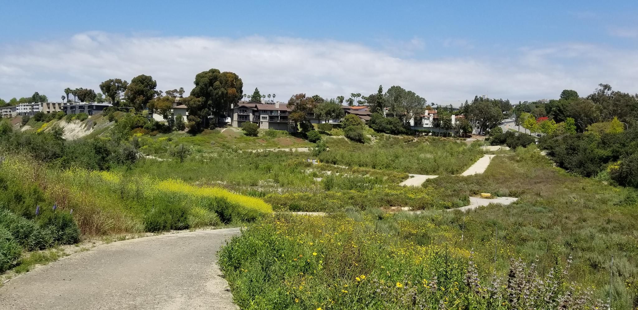 Top 5 Hikes and Walks in William R. Mason Regional Park (Wilderness ...