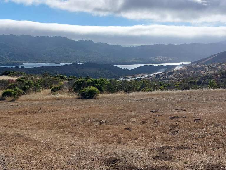 The best walks and hikes in Pulgas Ridge Open Space Preserve | Komoot