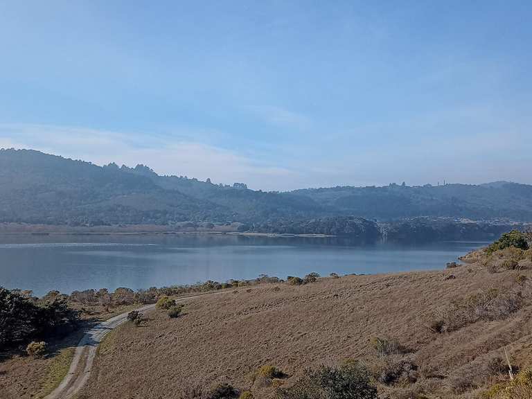 Top 5 Running Trails in Pulgas Ridge Open Space Preserve | Komoot