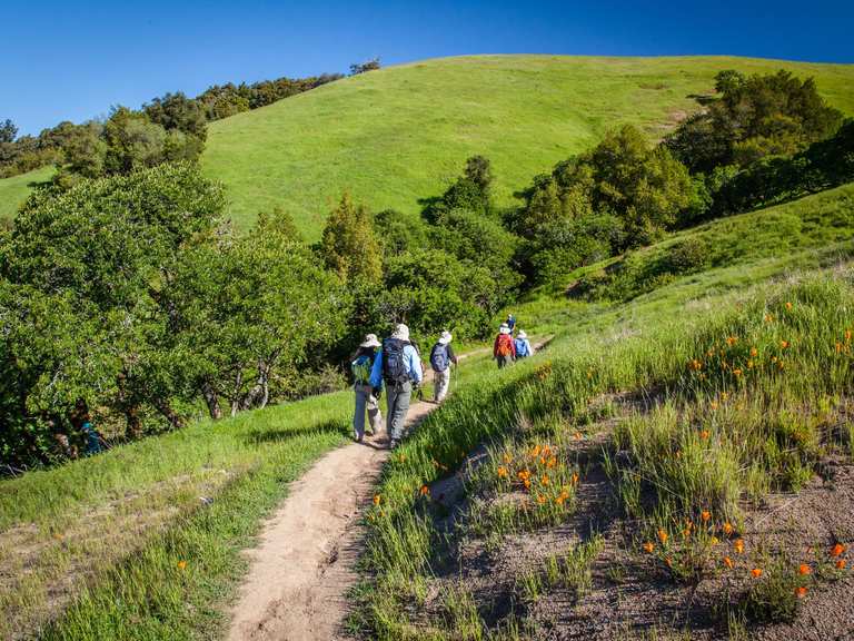 Top 10 Hikes and Walks in Russian Ridge Open Space Preserve (Closed ...