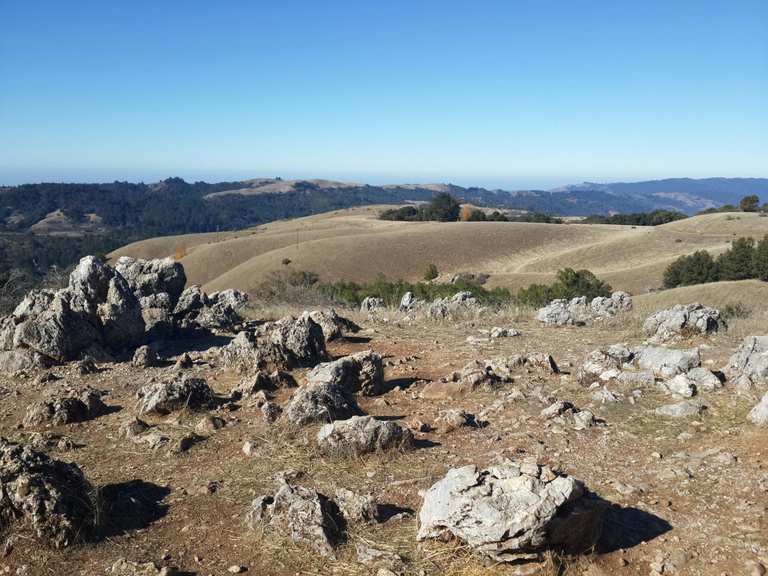 The best running trails in Skyline Ridge Open Space Preserve (Closed ...