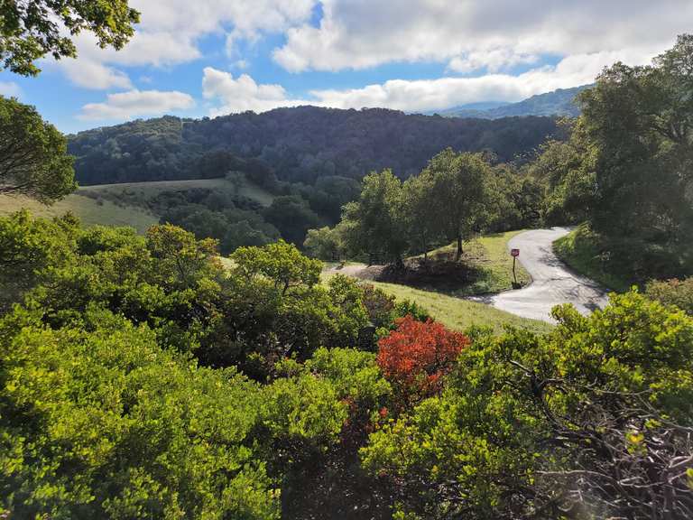 Die 8 schönsten Laufstrecken im Skyline Ridge Open Space Preserve 🏃 ...