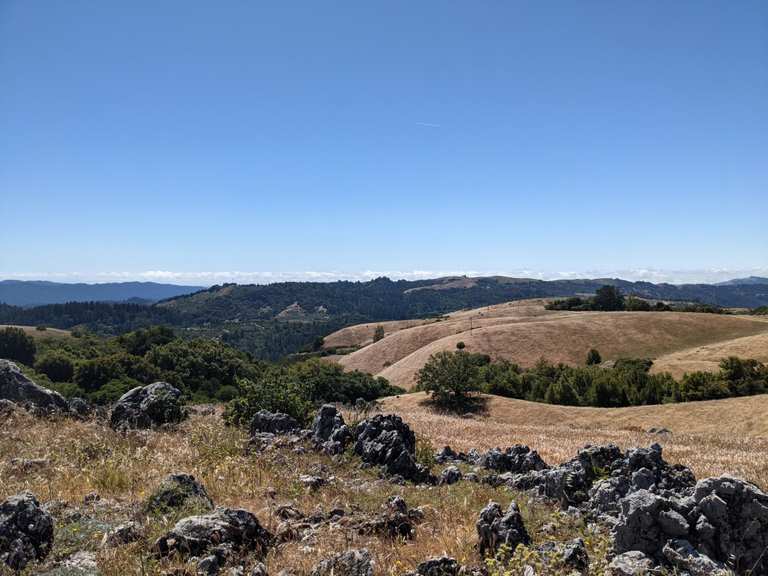 Top 11 Running Trails in Long Ridge Open Space Preserve (Closed Areas ...