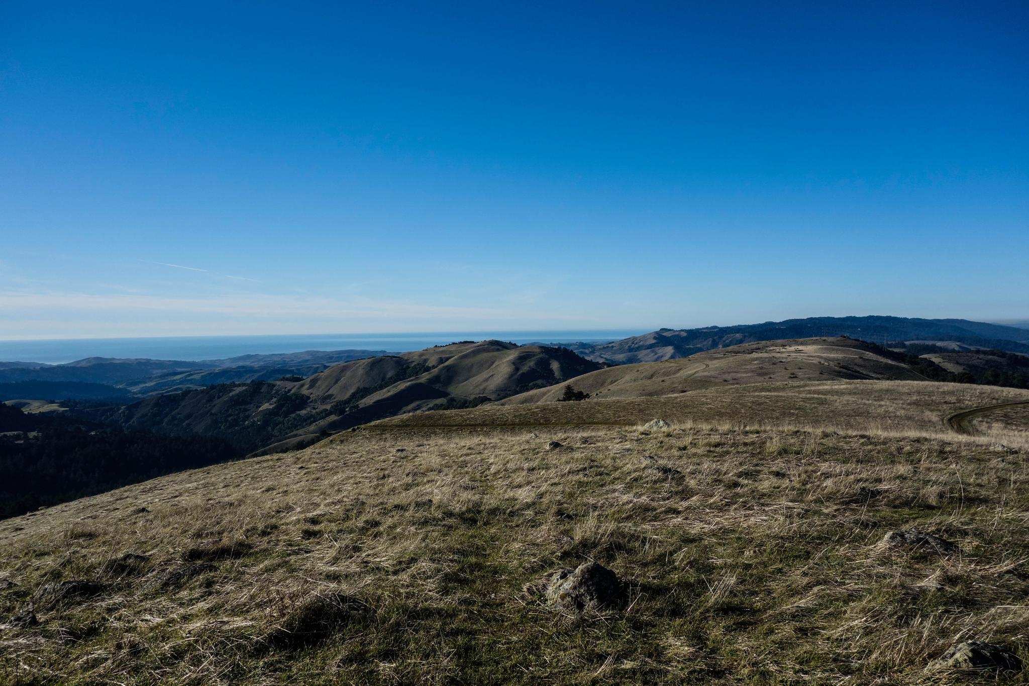 Top 13 Hikes and Walks in Memorial County Park | Komoot
