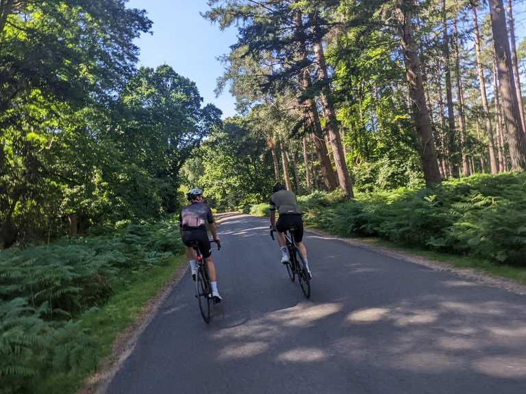 Die schönsten Gravelbike-Touren in New Forest National Park | Komoot
