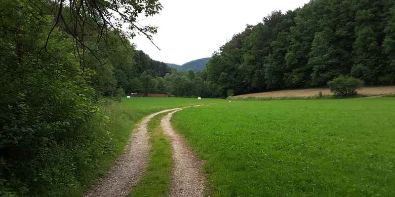 Reiseführer Engelthaler Forst: 2024 das Beste in Engelthaler Forst  entdecken