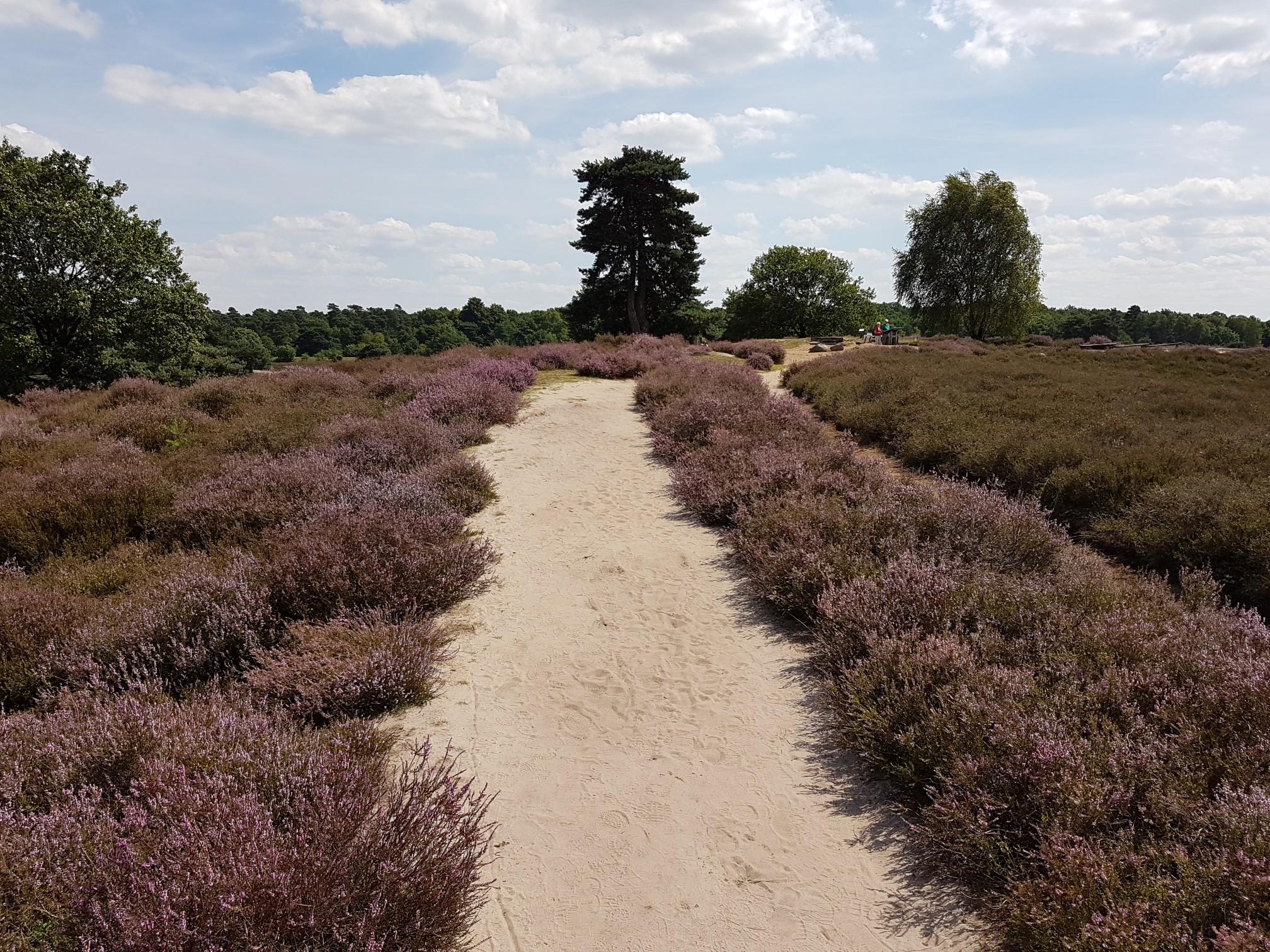 We Love Haltern Am See On Vimeo