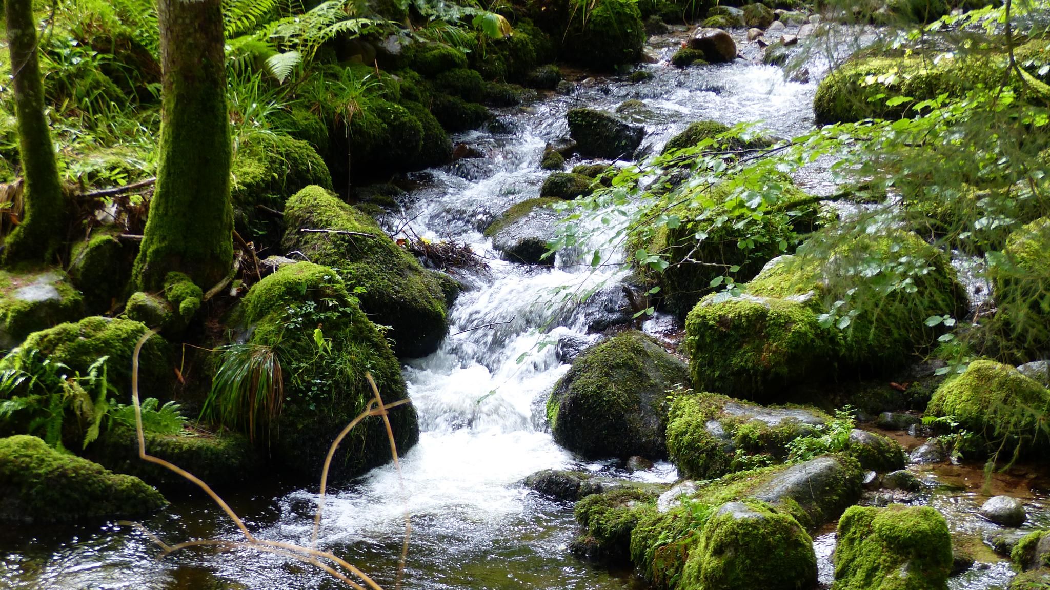 The best waterfall hikes and walks in Alsace | Komoot