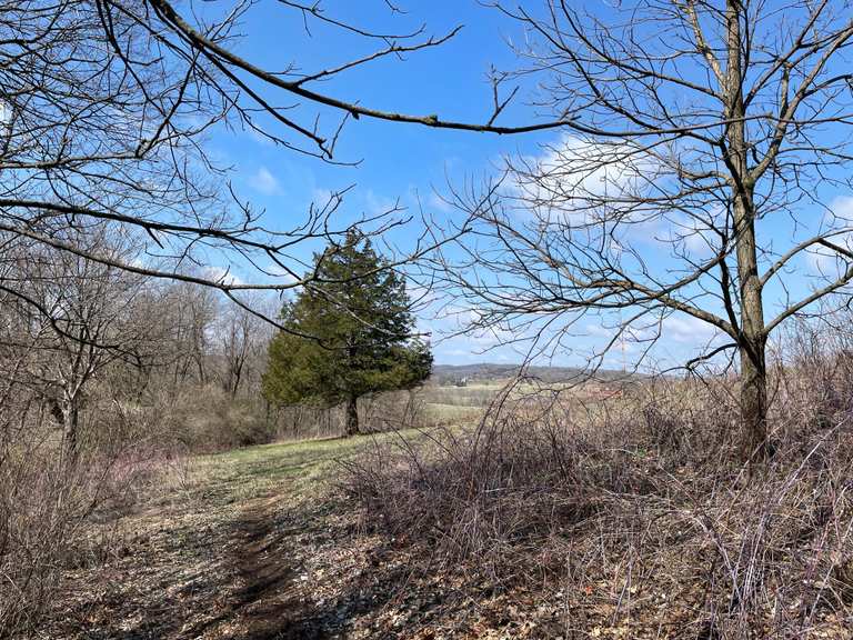 The best cycling routes in Iowa County | Komoot