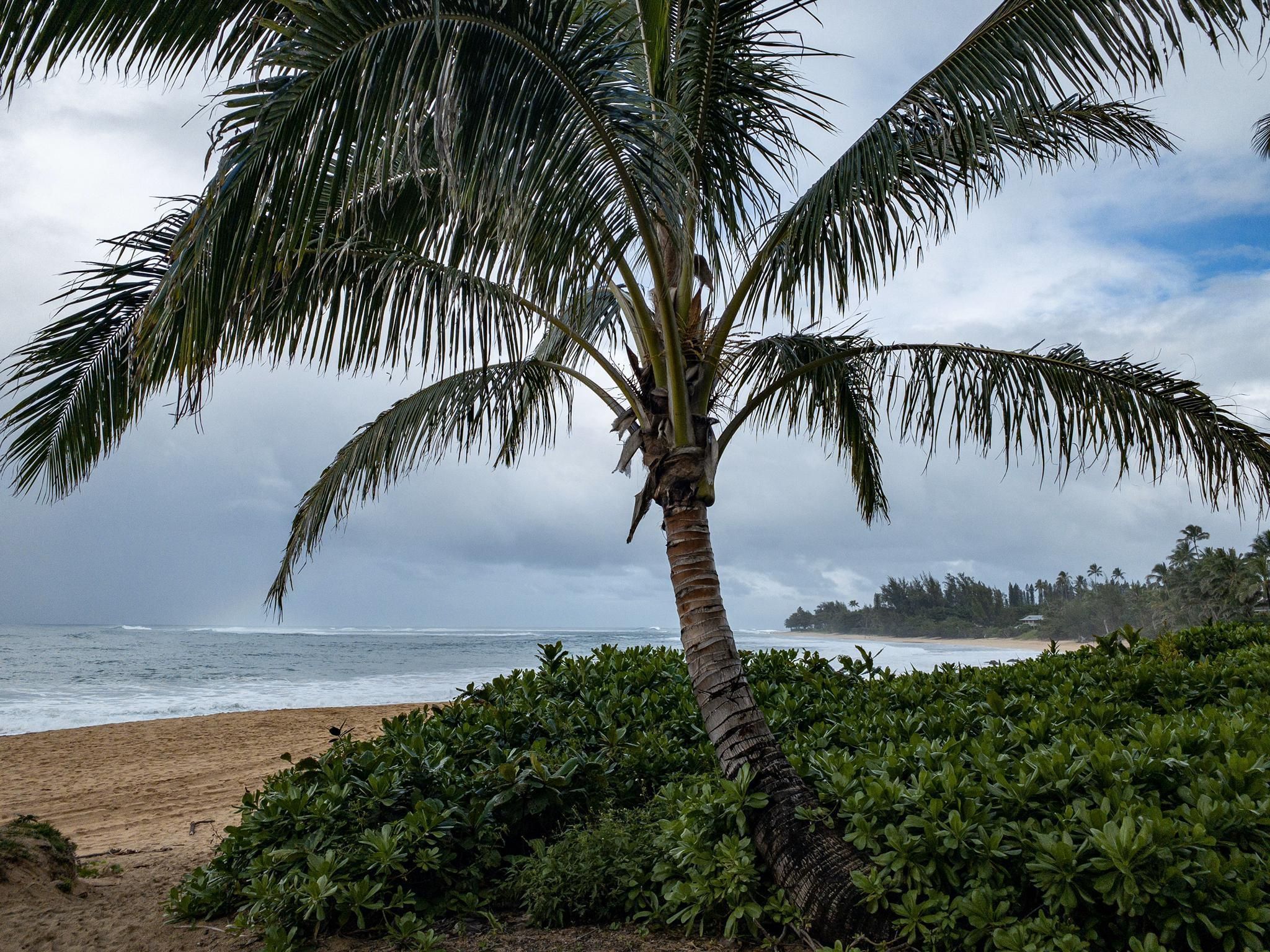 bike tours kauai