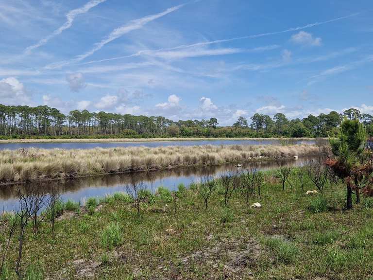 Attractions and Places To See in Mississippi - Top 20 - Komoot