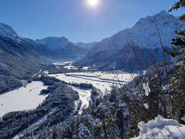 Spaziergänge und leichte Wanderungen im Oberwald | Komoot