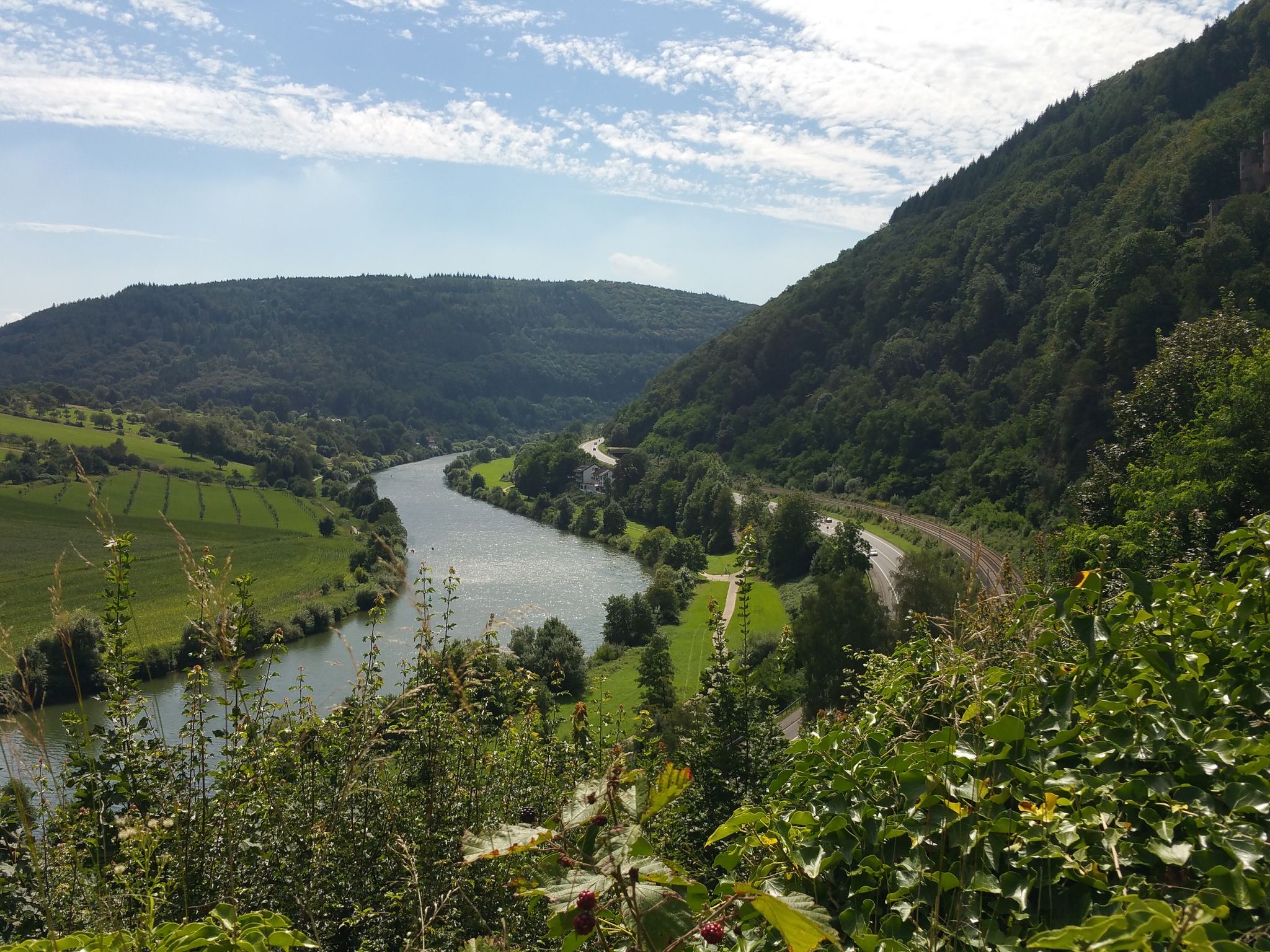 bike tour heidelberg